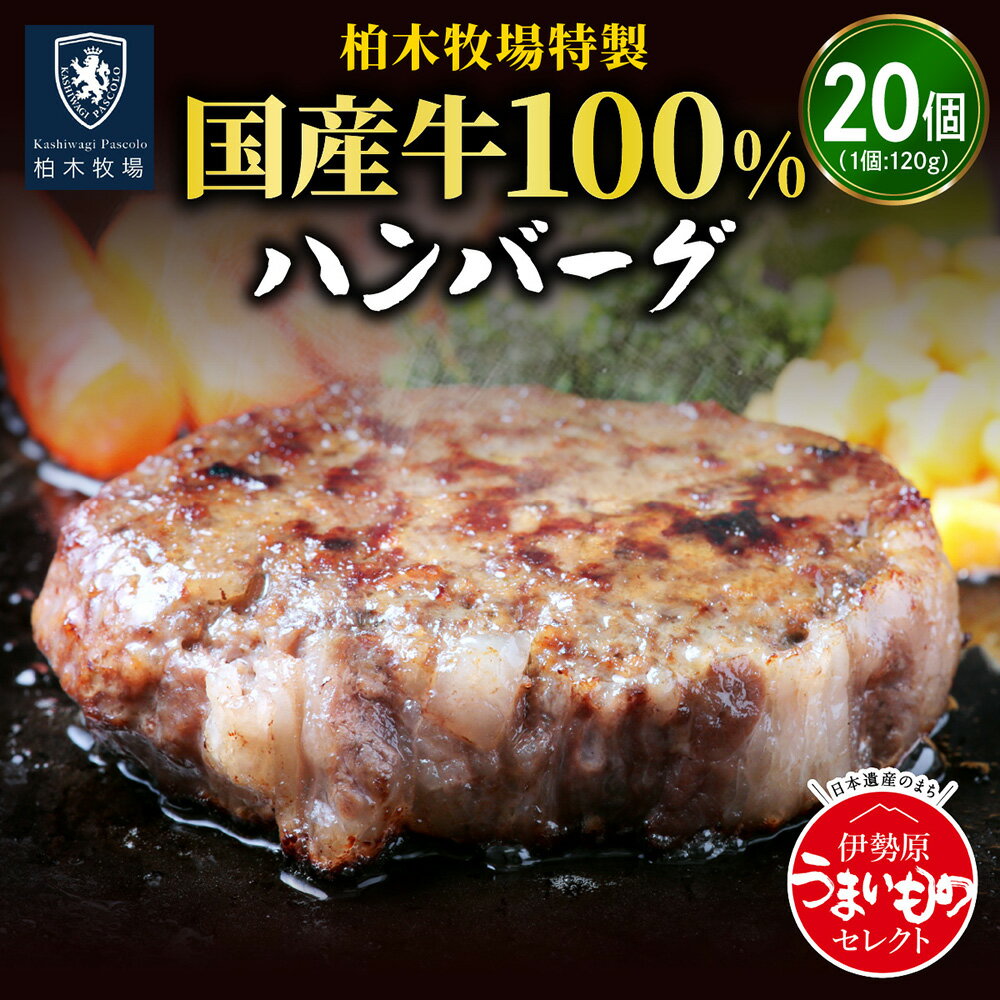 【ふるさと納税】柏木牧場特製 国産牛100% ハンバーグ (120g×20個) ジュワッと肉汁まで美味い！｜ギフト 贈り物 人気 お土産 正月 肉の日 バーベキュー 冷凍便 惣菜 牛肉 焼くだけ [0068]