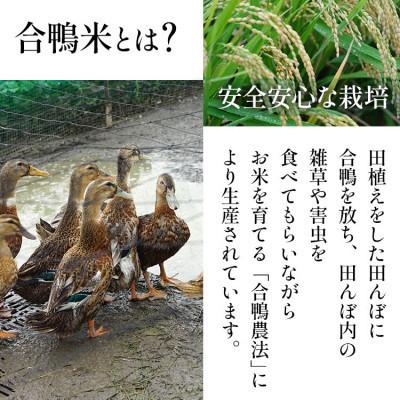 ふるさと納税 大木町 【毎月定期便】合鴨米「元気つくし」(玄米・10kg) BI25全6回 |  | 01