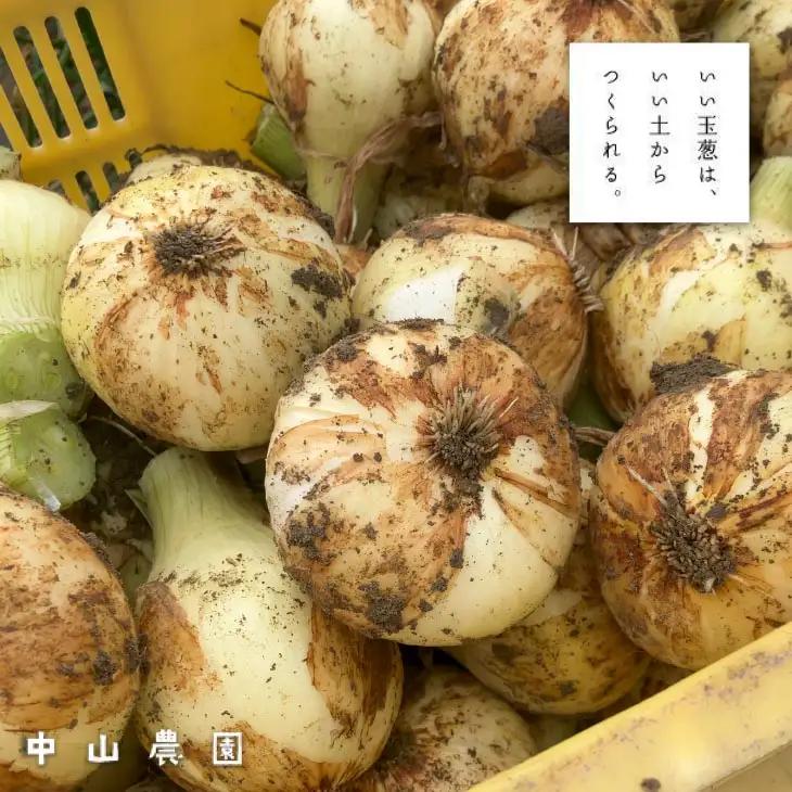 【新玉予約！】中山さんちから直送 淡路島たまねぎ10㎏　◆R9.3月下旬～発送