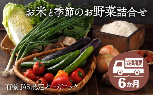 
【全6回定期便】【シェフの目線】 旬のお野菜セット×クリーン白米【ふるさと納税限定】 栽培期間中農薬不使用！ サラダ 新鮮野菜セット 詰め合わせ 安心安全 野菜 サラダ 野菜セット 栽培期間中農薬不使用 オーガニック 旬野菜セット 国産野菜 米 お米 野菜 定期便 ＼レビューキャンペーン中／愛媛県大洲市/有限会社ヒロファミリーフーズ [AGBX010]
