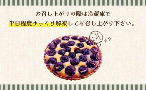 【2024年7月下旬～発送】【舌にあふれる季節感♪こだわりのサクサクタルト】焼き葡萄のタルト / タルト ぶどう 18cm 南島原市 / アトリエジジ [SAA001]