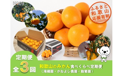 
                  N909 【全3回定期便】和歌山のみかん食べ比べ（滝橘園・かねよし農園・勘繁園）
                