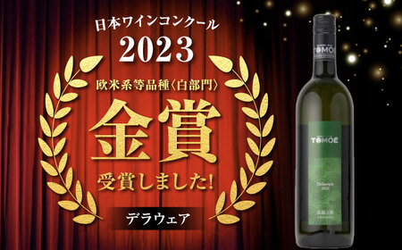 TOMOE 白ワイン 2本セット B シャルドネ リザーブ 辛口 デラウェア ワイン 受賞 飲み比べ ワインセット ギフト 三次市 / 広島三次ワイナリー[APAZ017]