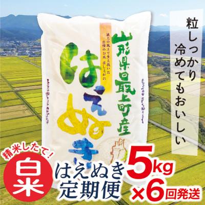 ふるさと納税 最上町 【発送月固定定期便】買い忘れなしで美味しいはえぬき5kg(白米)が届く全6回