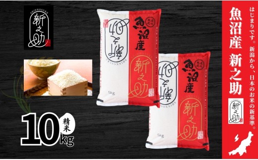 中魚沼産 新之助 10kg(5kg×2袋) 令和7年産 | しんのすけ 新之助 米 お米 新潟 魚沼 コメ おこめ 白米 精米 ご飯 ごはん ブランド米 新潟県 津南町 有限会社イタバ