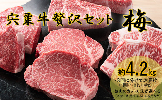 
            F10　宍粟牛贅沢セット【梅：4.2Kg】　宍粟牛 は 但馬牛 の 血統を受け継いだ 黒毛和牛 　ステーキ もも 焼肉 すき焼き スライス しゃぶしゃぶ 生肉 精肉 ブランド牛 国産牛 贈り物 セット 大容量 定期便
          