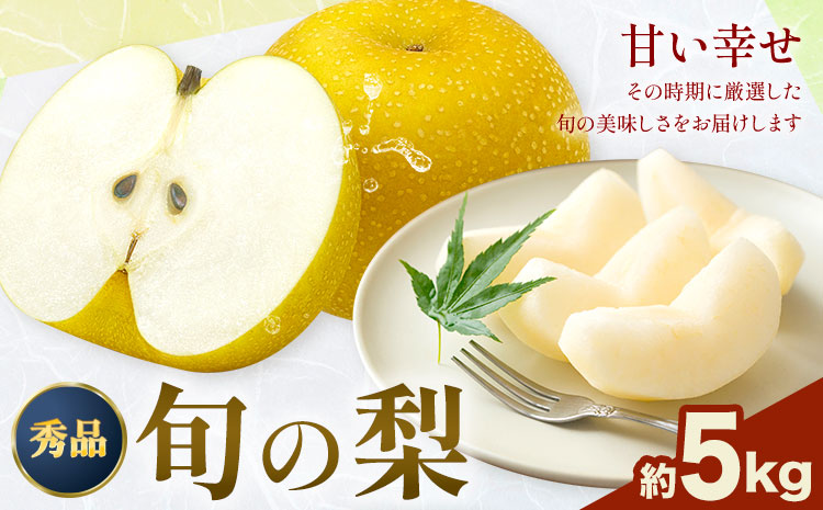【2026年先行予約】おまかせ梨 秀品 約5kg 日本フルーツ《8月上旬-10月上旬頃出荷》熊本県 長洲町 なし 梨 果物 フルーツ デザート ギフト ご贈答---sn_cnfomn_ad810_r8_16500_5kg---