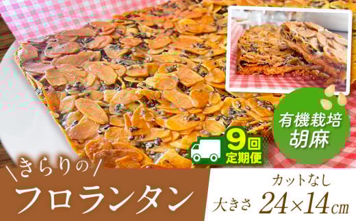 9回 定期便 ザクザク ‼ きらりのフロランタン 有機栽培胡麻 | アーモンド たっぷり 贅沢 ショートニング不使用 マーガリン不使用  トランス脂肪酸不使用 保存料不使用 フロランタン スイーツ お菓子 焼菓子 洋菓子 アーモンド 発酵バター 手作り ご自宅用 手土産 ギフト 調布 東京 ごま 胡麻 ゴマ 有機栽培 定期