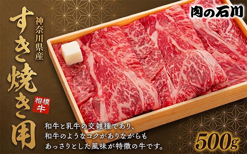 
                  牛肉 神奈川県産 相模牛 すき焼き用 500g 国産牛 ロース すき焼き 肉 すきやき ぎゅうにく 牛肉すき焼き ニク 牛 肩ロース 贅沢 ごちそう お取り寄せ 厳選 ギフト 贈り物 冷凍 肉の石川 株式会社 泰平 湘南 神奈川県 平塚市
                