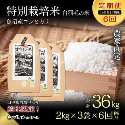 ふるさと納税 十日町市 【2ヵ月毎定期便】農家直送!魚沼産コシヒカリ特別栽培 精米(2kg×3袋)全6回