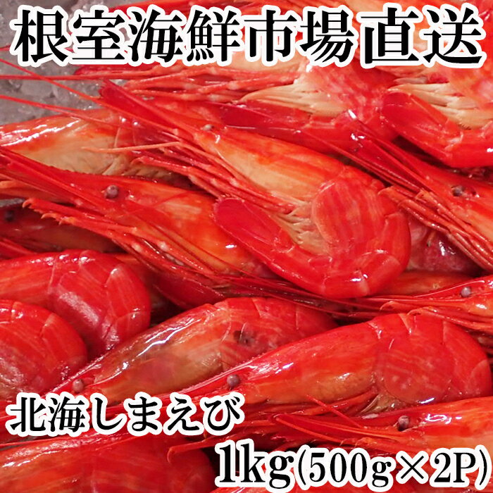 【ふるさと納税】 北海しまえび 500g × 2P エビ えび 海老 シマエビ 北海シマエビ しまえび 縞えび 縞エビ 縞海老 お取り寄せ グルメ 海鮮 ボイル 茹でえび 茹でエビ 茹で海老 ゆでえび ゆで海老 ゆでエビ 北海道 根室市 ふるさと納税 B-11118