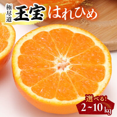 【ふるさと納税】【愛媛名産】玉宝はれひめ 2kg / 4kg / 5kg / 10kg_ みかん はれひめ ハレヒメ 玉宝 極尽道 愛媛のみかん 柑橘 果物 くだもの フルーツ おやつ 美味しい 甘い 爽やか ジューシー おすすめ 愛媛 愛媛県 八幡浜市 人気 送料無料【G1623963】