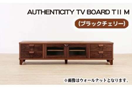 （CH）AUTHENTICITY TV BOARD TⅡ M No.855