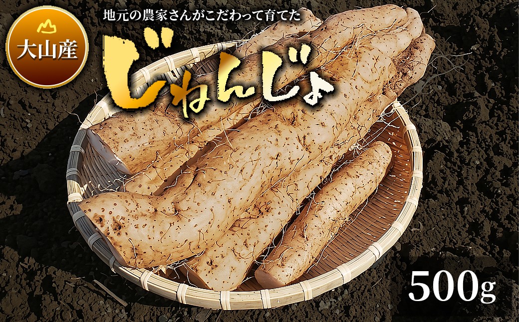 
                  MS-06　大山産自然薯 500g
                