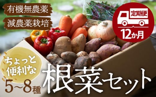野菜定期便（根菜・旬野菜）【全12回】シェフの目線で厳選！ あったら嬉しい根菜×おまかせ旬野菜定期便（10〜12種） 大洲市/（有）ヒロファミリーフーズ [AGBX014] 野菜定期便 定期便 野菜 定期便 12回 野菜 定期便 12か月 定期便 12ヶ月 お正月 クリスマス