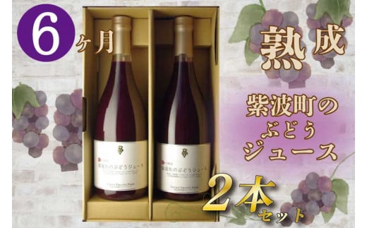 無添加 無加糖 100%ストレート 濃厚 6か月熟成「紫波町のぶどうジュース２本セット」 紫波町産 ぶどう ジュース テロワール キャンベル 葡萄 (AL062-1)