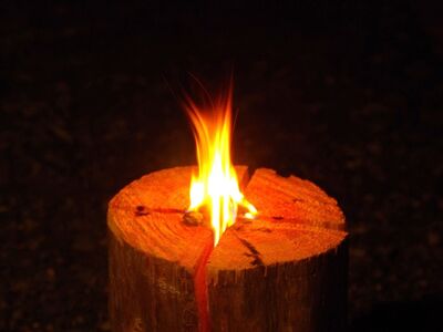 20-22KAGYA JAPAN 灯縁-TOUEN【ヒノキLsize】