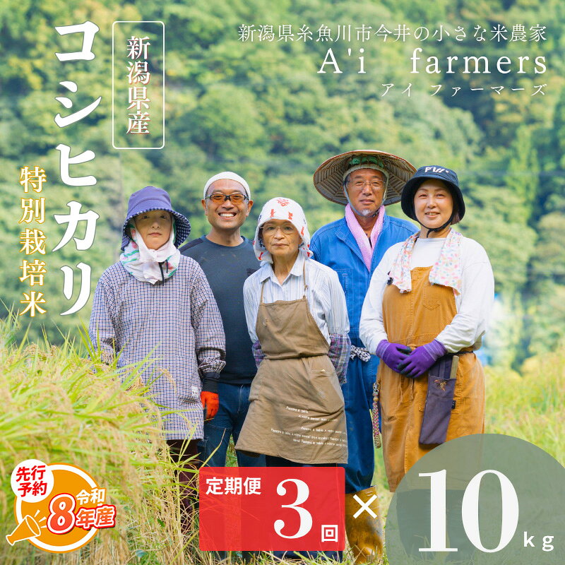 【ふるさと納税】令和8年産 先行予約 コシヒカリ(BL)【3ヶ月定期便】 白米 10kg×3回 毎月お届け 計30kg 新潟県 糸魚川市産 減農薬 減化学肥料米 美味しいお米 新潟米 今井産 アイファーマーズ 今摺り米 精米 こしひかり おにぎり お弁当 おすすめ お米 コメ 2026