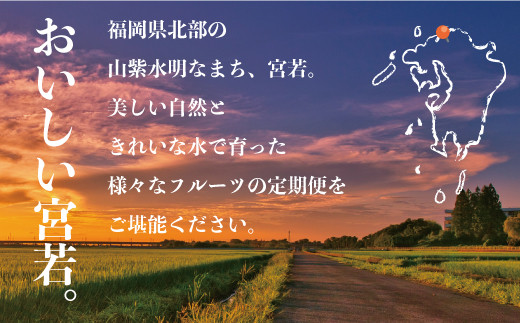 【定期便】宮若市旬のフルーツ定期便  (年4回) [M763] ブランド いちご ぶどう みかん 柿 大人気 NO1 限定品 高級 フルーツ 果物 くだもの 特別 冷蔵 プレゼント 九州 福岡 宮若市