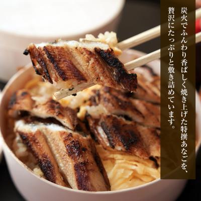 ふるさと納税 淡路市 特撰あなご丼 わっぱ入り 2食セット 冷凍　aa54003 |  | 01