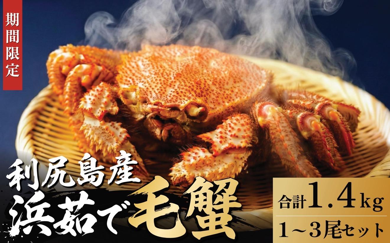【2026年先行受付】北海道産 浜茹で毛ガニ 合計約1.4kg（未冷凍・チルド配送）利尻産【1月より順次出荷】｜毛蟹 蟹 かに カニ味噌 蟹味噌 ボイル 海鮮 魚介 [1060142]