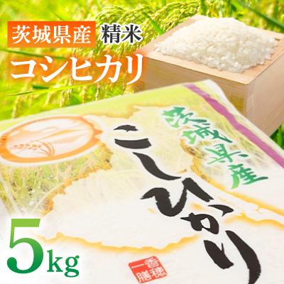ふるさと納税 土浦市 【令和8年産 】 茨城県産 コシヒカリ 精米 5kg　美味しい お米