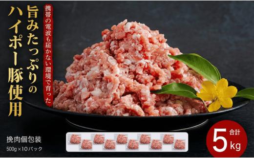 豚肉 阿武町産 豚挽肉 500g×10パック 小分けセット | 携帯の電波も届かない環境で育った旨みたっぷりのハイポー豚 ひき肉 挽肉 豚 肉 お肉 ※配送不可:離島