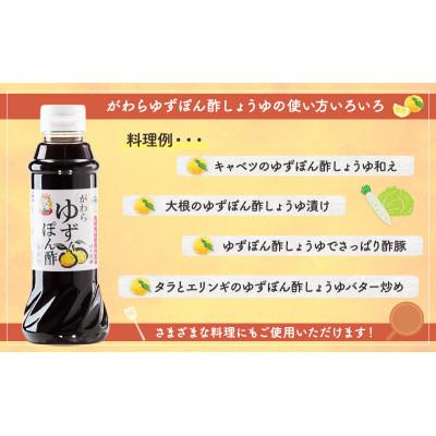 ふるさと納税 大河原町 がわらゆずぽん酢しょうゆ300ml×6本セット[53751014] |  | 03