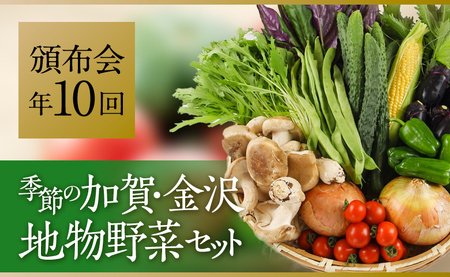 ★【全10回】JA金沢市 季節の加賀野菜・金沢地物野菜セット頒布会（毎月１回）  石川 金沢 加賀百万石 加賀 百万石 北陸 北陸復興 北陸支援