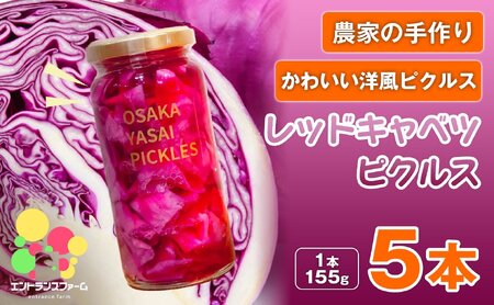 ＜農家の手作り おかずピクルス！＞レッドキャベツピクルス(5本) 常温 常温保存 酢漬け 漬物 おかず サイドディッシュ ヘルシー カラフル おつまみ ギフト 贈答用 【m104-04-C】【エントランスファーム】