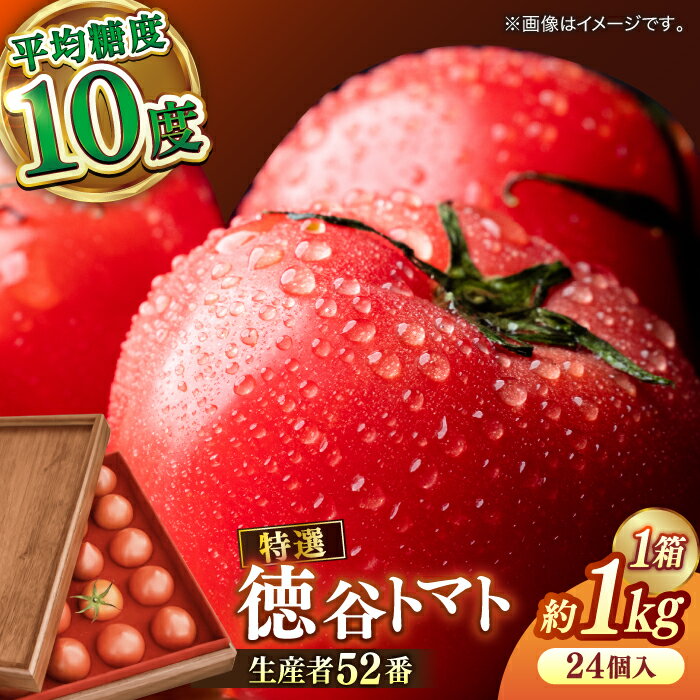 【ふるさと納税】【申込は4月末まで】希少！プレミアム徳谷トマト約1kg 24個入り 生産者52番 (ウォールナットケース入り) / トマト とまと 高糖度 甘い 贈答 高知 フルーツ 果物 数量限定 【フルーツショップオザキ】[ATAH001]
