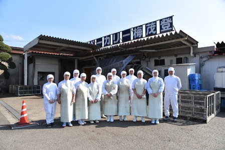 ＜【訳あり】冷凍野菜詰め合わせ（ホウレンソウ150g×5袋・ささがきごぼう100g×6袋）工場直送簡易包装 小分けパック11袋＞カット野菜 小分け 牛蒡 ゴボウ ホウレンソウ ほうれんそう ほうれん草