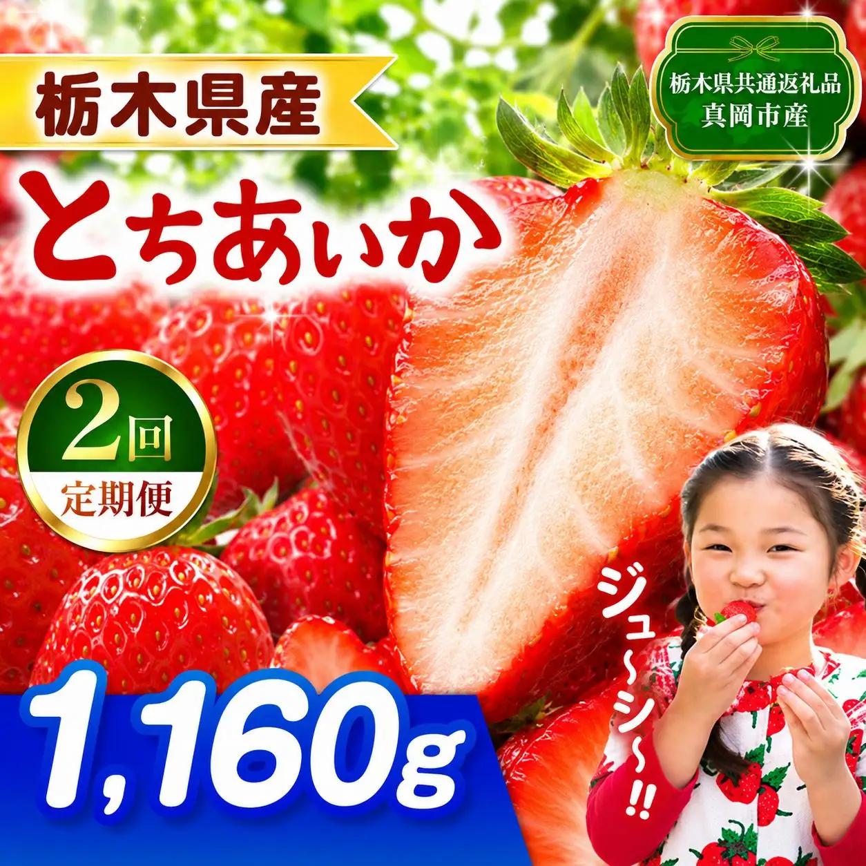 【栃木県共通返礼品】【先行予約】【定期2回】とちあいか 1160g | 栃木県 那珂川町 