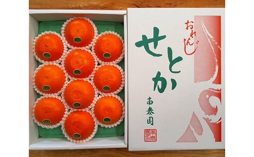 
                  化粧箱 柑橘の大トロ ハウス せとか 厳選 10玉入
                