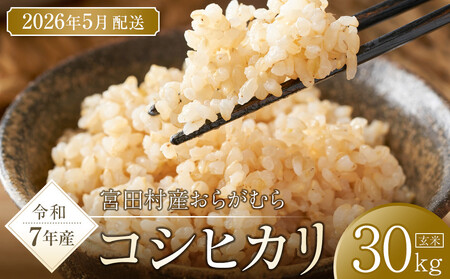 【予約受付】【令和７年米】長野県宮田村産 コシヒカリ 玄米 30kg・57,000円／令和８年5月配送 [ コシヒカリ ]