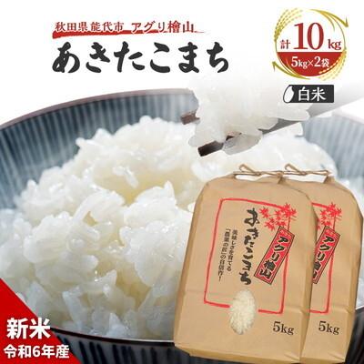 ふるさと納税 能代市 【白米】秋田県産 あきたこまち 10kg アグリ檜山[No.5335-0041]