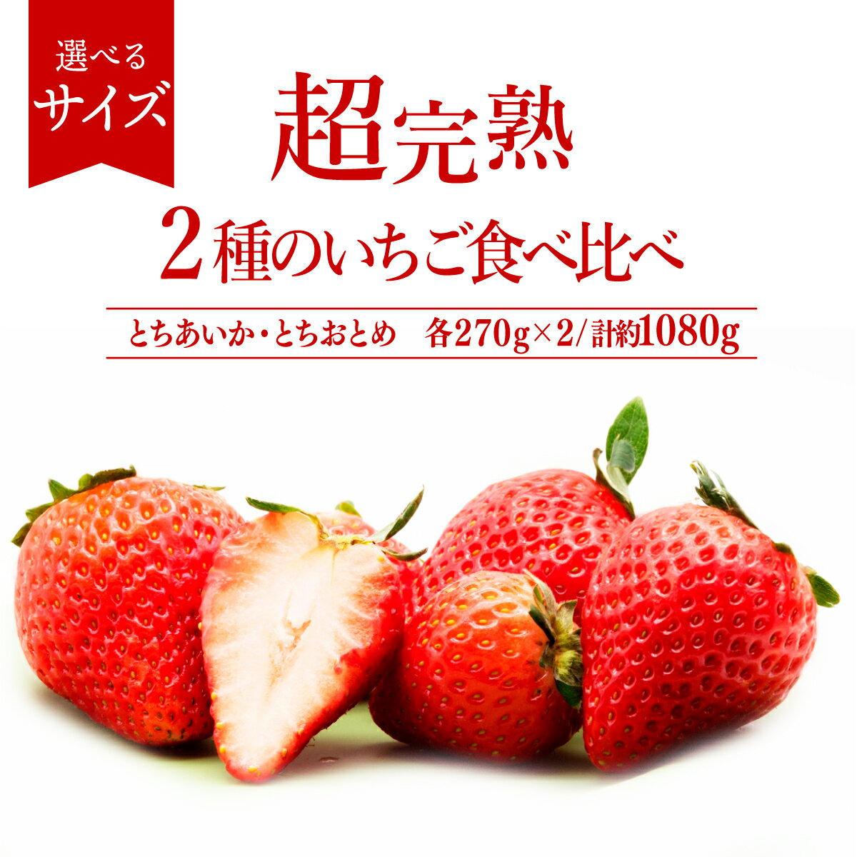 【ふるさと納税】＜2026年先行予約＞いちご 「茂木完熟いちご」篠崎さんが育てた とちおとめ ＆ とちあいか 1,080g 食べ比べセット 選べる発送月＆サイズ | いちご イチゴ 苺 とちあいか とちおとめ 完熟 果物 フルーツ 旬 産地直送 栃木県産 篠崎いちご園 栃木県 茂木町