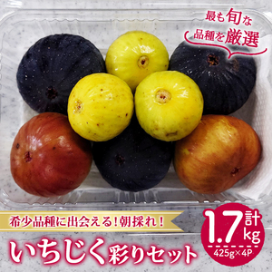 ＜先行予約！2026年8月下旬以降順次発送予定＞様々な品種のいちじく詰め合わせセット(約425g×4P・約1.7kg) 国産 フルーツ イチジク 小分け 食べ比べ 【man369】【はざま篠原農産合同会社】