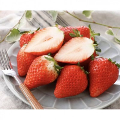 天空を映す甘美な果実 小山産スカイベリー 2パック【配送不可地域：離島・北海道・沖縄・中国・四国・九州】【1678746】