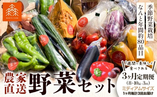 野菜 農家直送 新鮮 野菜 セット 3ヵ月 定期便 ミディアムサイズ 8～10品 ×3回《お申し込み月の翌月から出荷開始》 森田農園 青果物 やさい 千葉県 流山市 定期便