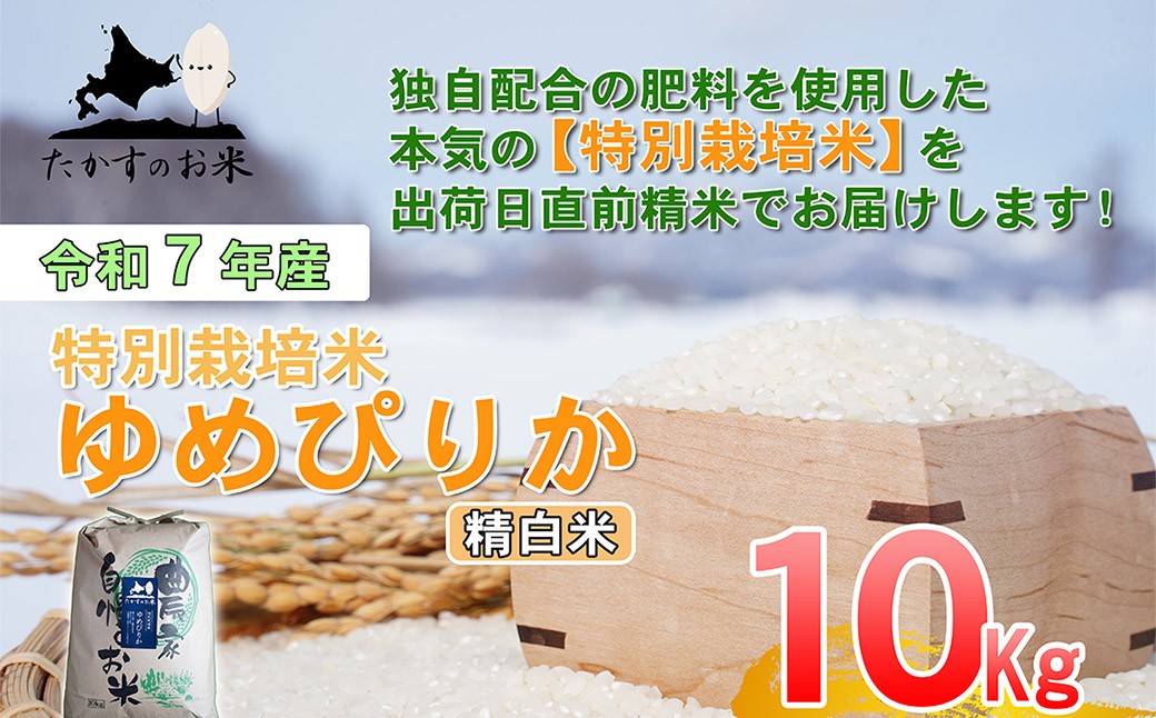 
                  【令和7年産】 ゆめぴりか （精白米） 10kg 北海道 鷹栖町 たかすのお米 米 コメ こめ ご飯
                