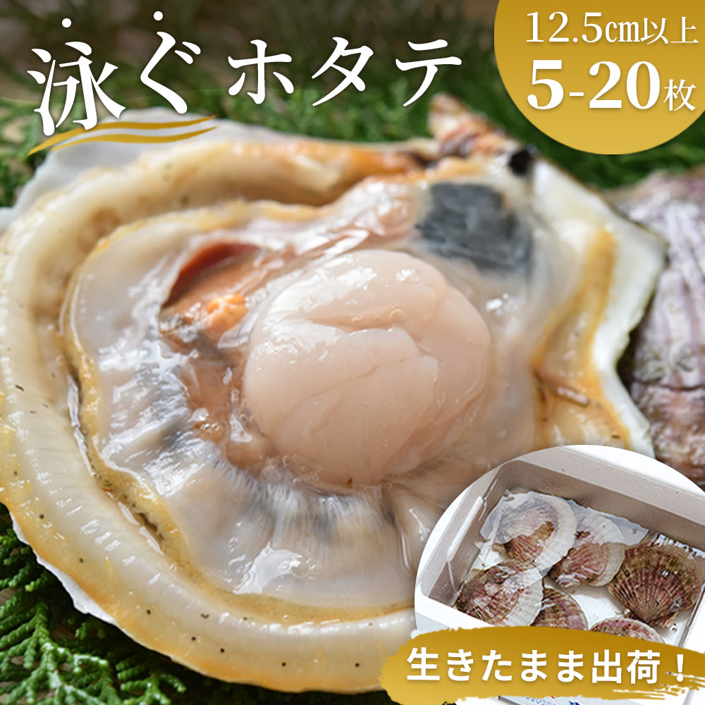 ほたて 貝柱 帆立 殻付き 刺身 岩手県 釜石市 泳ぐ ホタテ ※離島・沖縄への発送不可