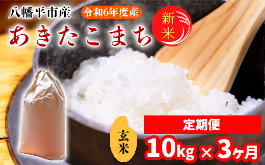 
【2024年11月発送開始】 令和6年産 新米 岩手県産 あきたこまち 玄米 10kg （5kg×2袋）×3ヶ月定期便 ／ 米 産地直送 農家直送 【中沢農産】
