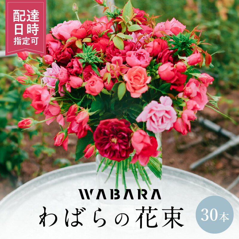 【ふるさと納税】わばら 30本 程度 配達日時指定可 花束 わばらの枝 摘みたて WABARA ばら 花 飾り インテリア アレンジ 生花 切り花 花のある生活 丁寧な暮らし 冷蔵 滋賀県 守山市 お取り寄せ Rose Universe 國枝啓司 送料無料