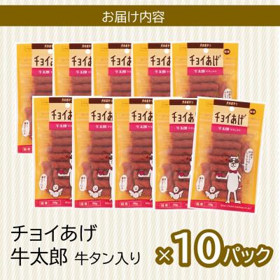 ふるさと納税 海陽町 《10パック》牛太郎牛タン入り(50g×10P)チョイあげ犬のおやつ(チャック付)WNW33 |  | 02