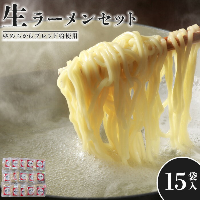 【ふるさと納税】【ゆめちからブレンド粉使用】 生ラーメンセット(15袋) 生ラーメン ラーメン 15人前 スープ付 北海道産 小麦粉 醤油 塩 味噌 スープ付き ふるさと納税 北海道 恵庭市 恵庭【29000901】
