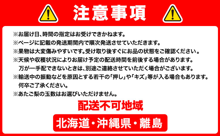 【2026年先行予約】定期便3回コース(隔月) 岡山のフルーツ 岡山の白桃8玉 (計1.7kg以上) シャインマスカット 晴王 2房 (1房600g以上) あたご梨 4~5玉 (約4kg) 化粧箱入り
