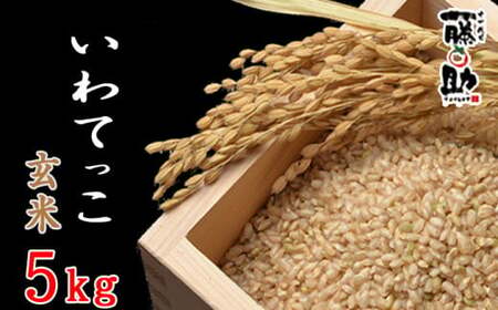 【2025年11月上旬より発送開始予定】 新米 岩手県産 いわてっこ 玄米 5kg 【十一代目藤助】 ／ こめ 米 お米 おこめ ご飯 ごはん コメ げんまい おにぎり お弁当 仕送り お取り寄せ 産地直送 農家直送 国産 八幡平市産 おすすめ オススメ 数量限定