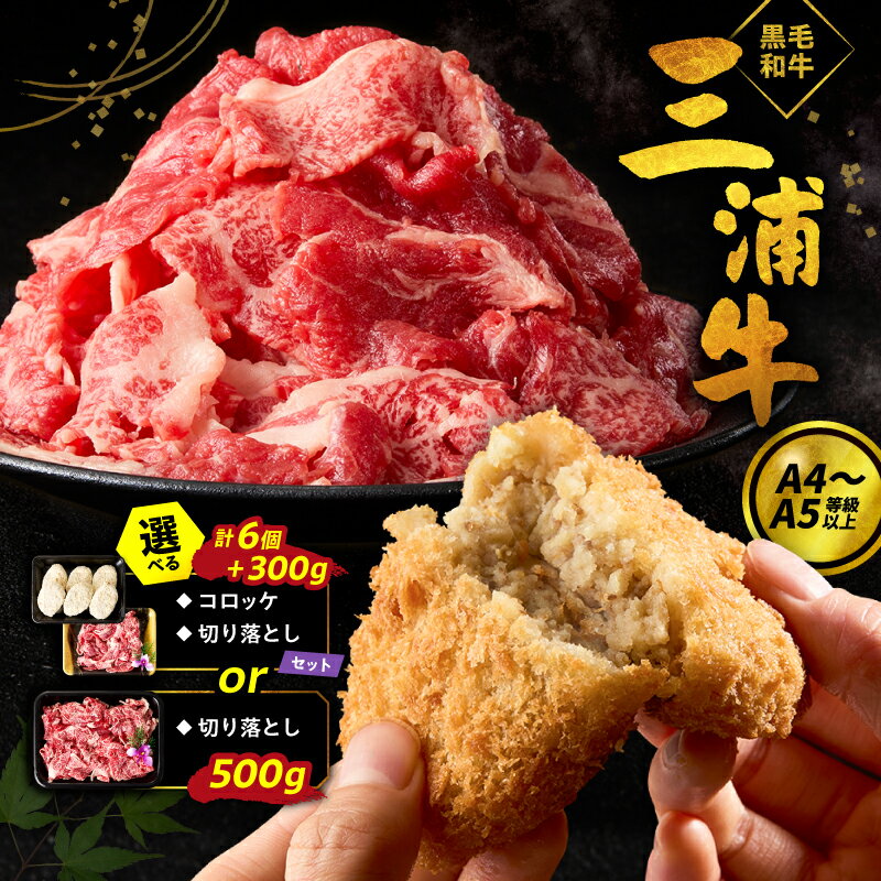 【ふるさと納税】＜選べる＞三浦牛 切り落とし 500g 三浦牛 コロッケ 詰め合わせ セット 肉 牛肉 加工品 惣菜 総菜 揚げ物 すき焼き 鍋 牛丼 肉じゃが コーシン 神奈川県 三浦市 おすすめ ランキング プレゼント ギフト