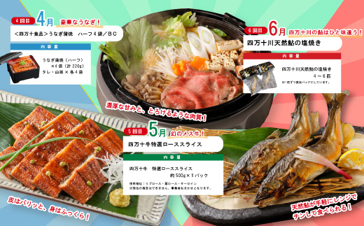 【年末限定】 12回 定期便 四万十 人気 グルメ お楽しみ定期便 しまんと ふるさと 20万円 今だけ 年末 限定 肉 いちご うなぎ 牛肉 パン まぐろ マグロ かつお フルーツ 人気グルメ ごち